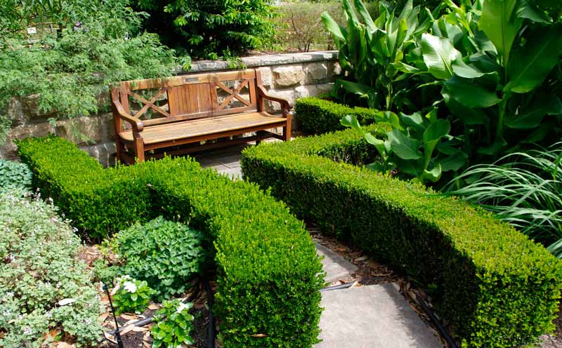 Enjoy a well earned rest in the Herb Garden of Royal Botanic Garden, Sydney